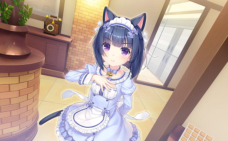 Minaduki Shigure - Nekopara - A irmã mais nova de Kashou